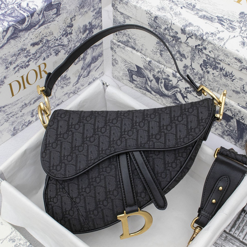 Dior SADDLE Bag