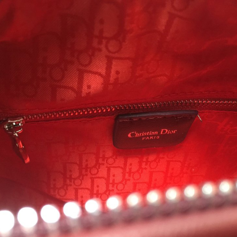 Dior The LADY D-LITE Bag