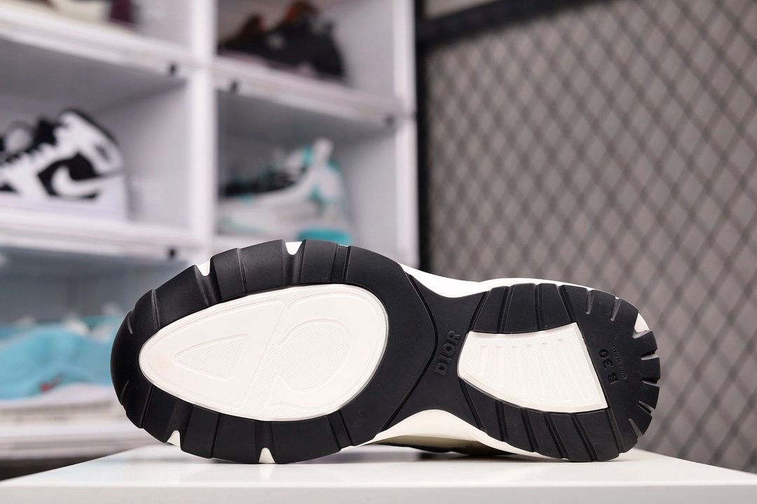 Dior B30 Dad Sneakers Brown