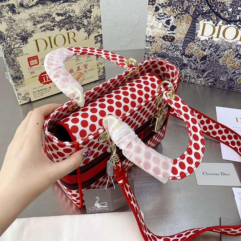 Dior The LADY D-LITE Bag