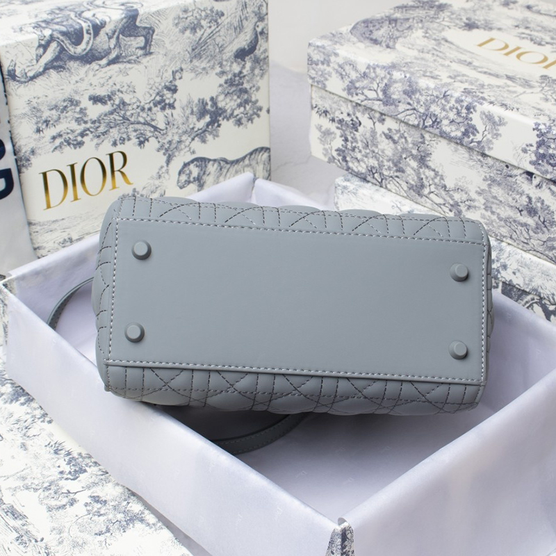 Dior The LADY D-LITE Bag