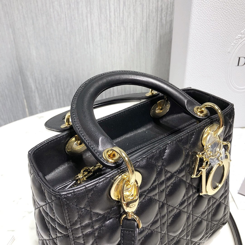 Dior The LADY D-LITE Bag