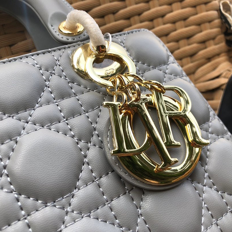 Dior The LADY D-LITE Bag