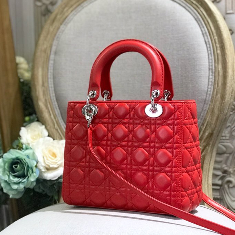 Dior The LADY D-LITE Bag