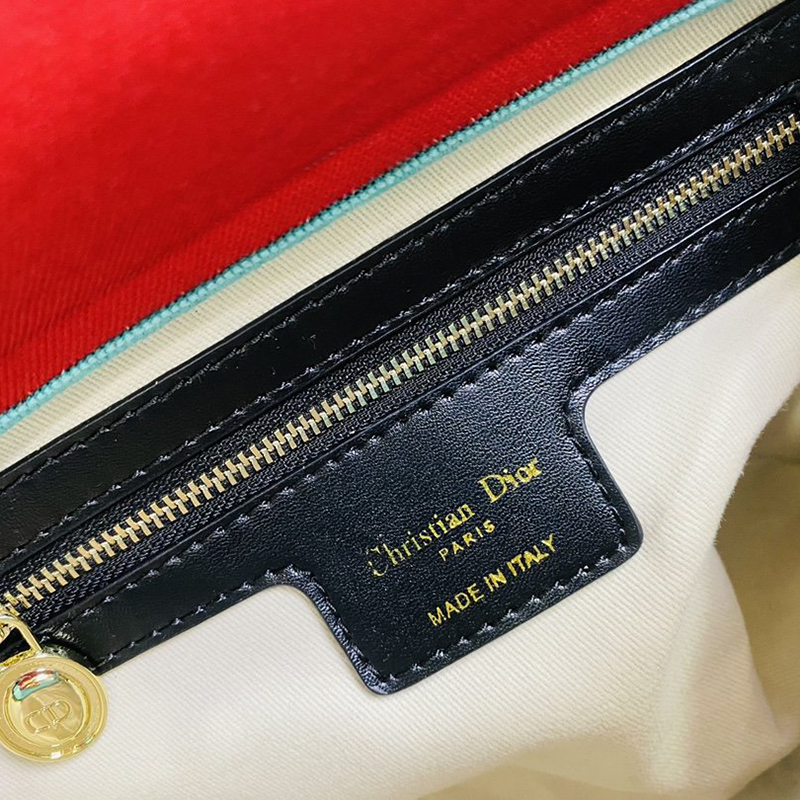 Dior The LADY D-LITE Bag