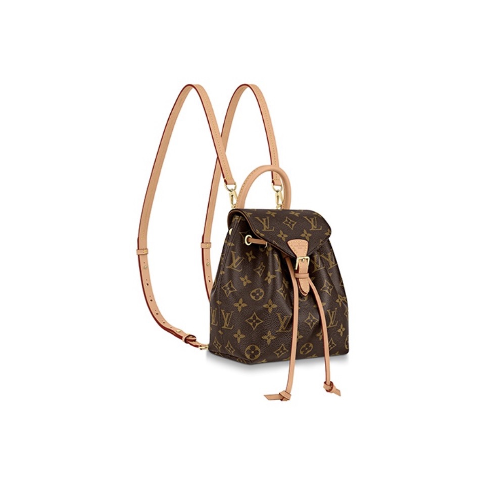 Louis Vuitton LV Montsouris Backpack