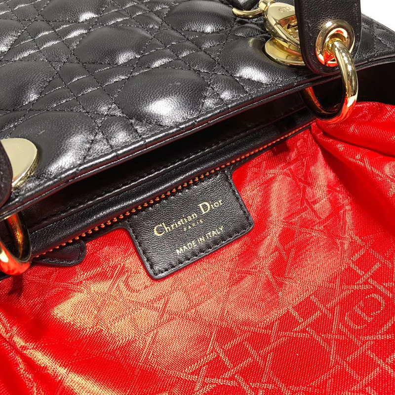 Dior The LADY D-LITE Bag