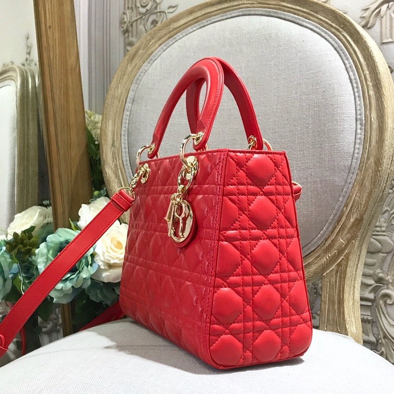 Dior The LADY D-LITE Bag