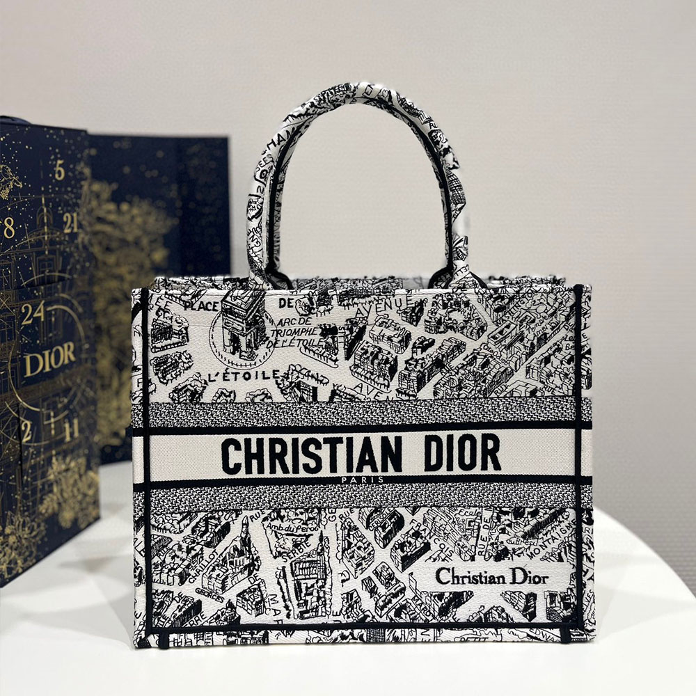 DIOR Book Tote Paris Map Bags
