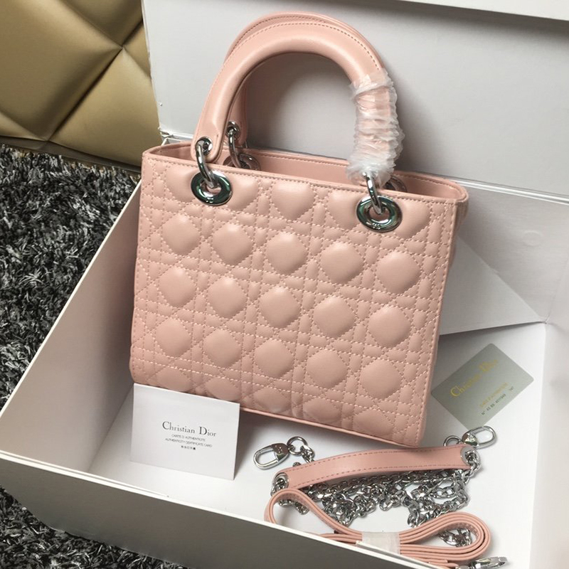 Dior The LADY D-LITE Bag