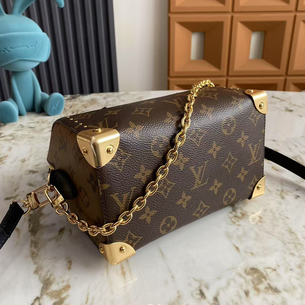 Louis Vuitton Speedy Trunk 20 Bag