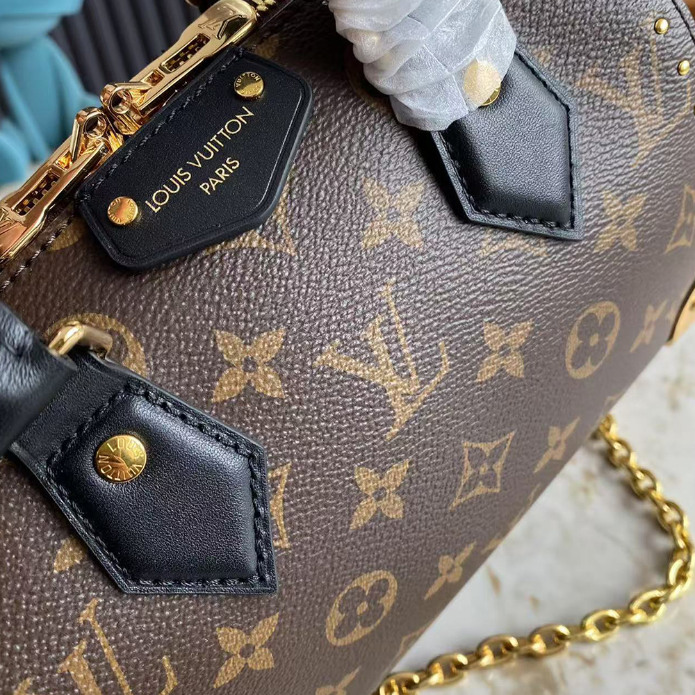 Louis Vuitton Speedy Trunk 20 Bag