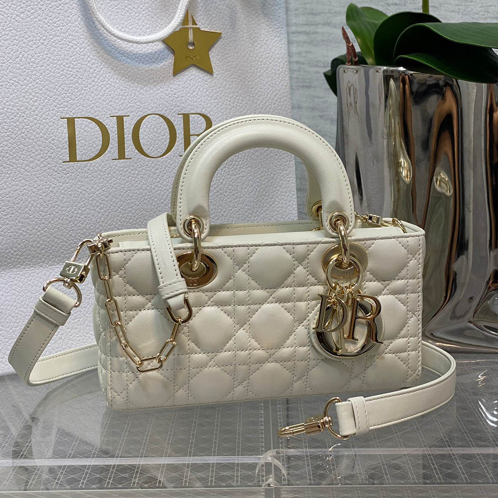 Dior Small Lady D-Joy