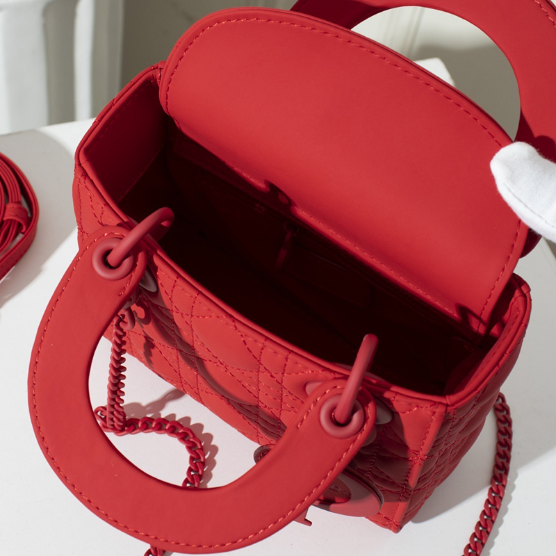 Dior The LADY D-LITE Bag