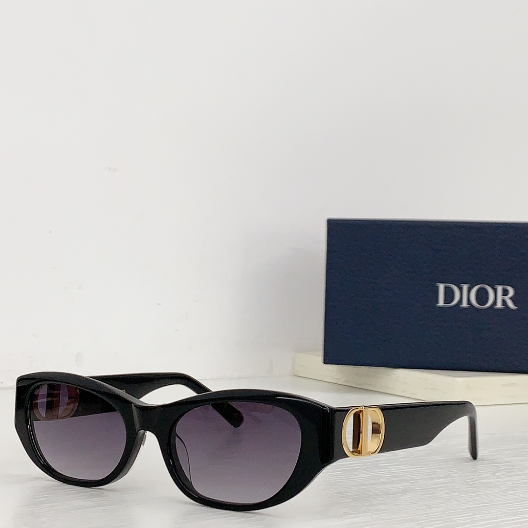 Dior Hollow Logo Sunglasses
