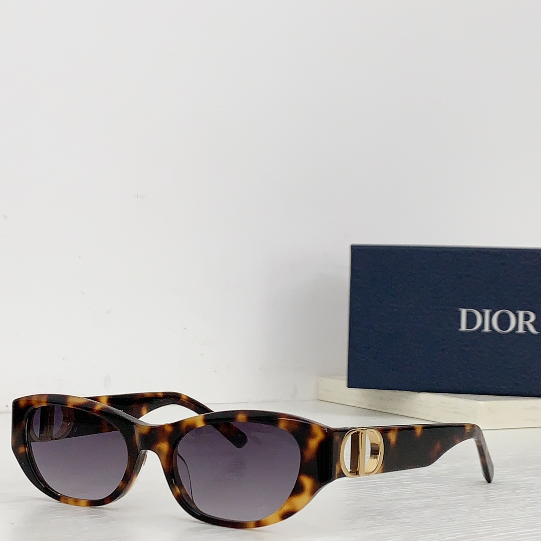 Dior Hollow Logo Sunglasses