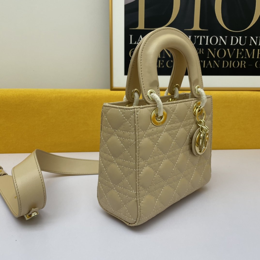 Dior The LADY D-LITE Bag
