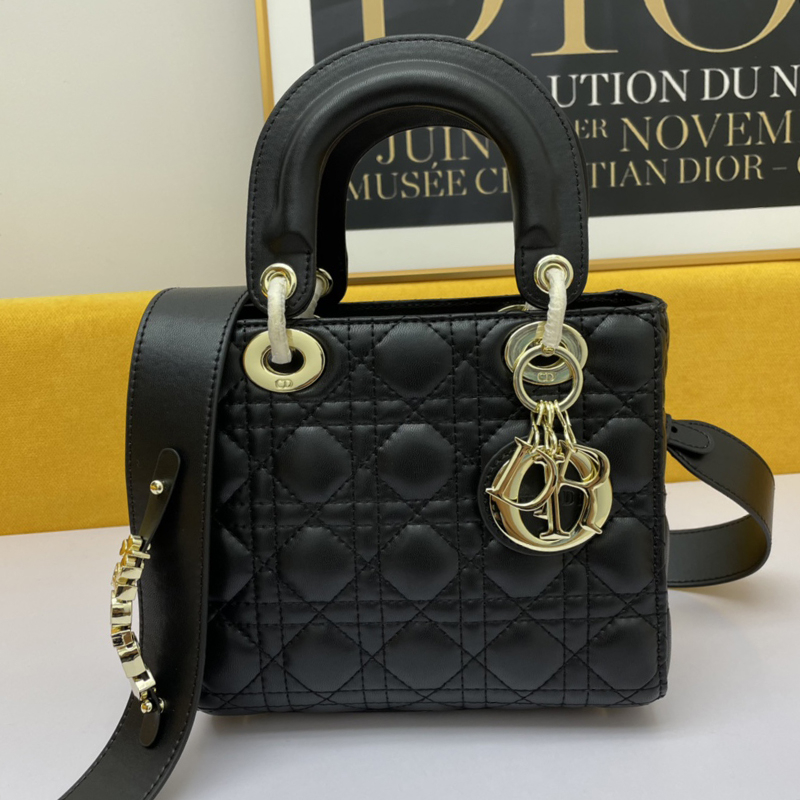 Dior The LADY D-LITE Bag
