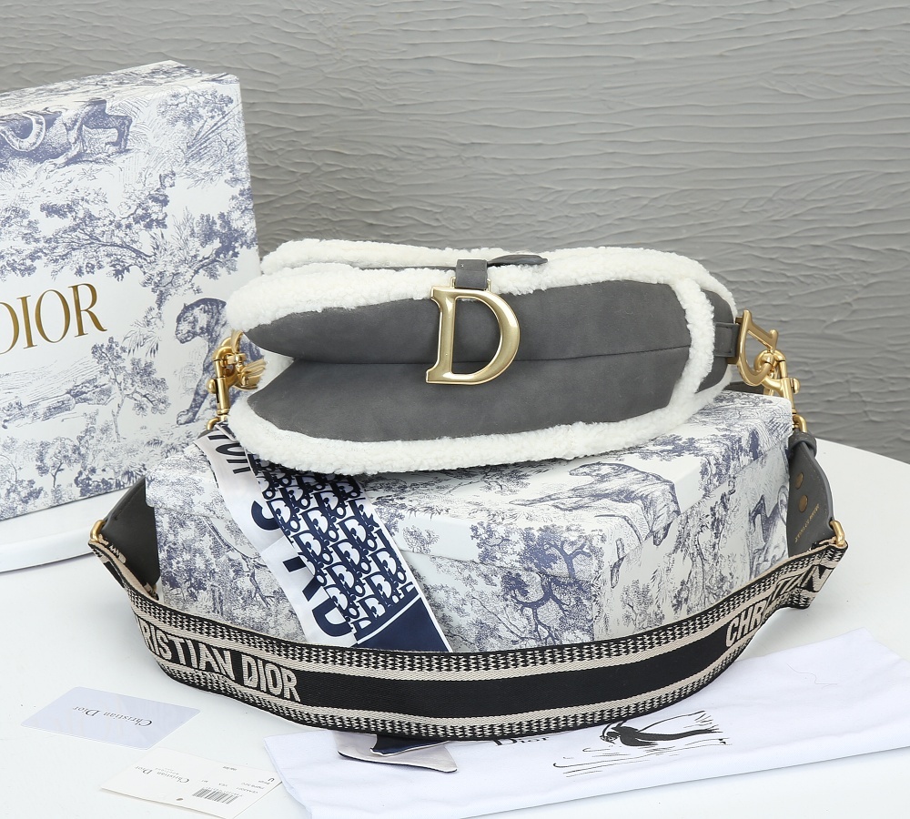 Dior SADDLE Bag