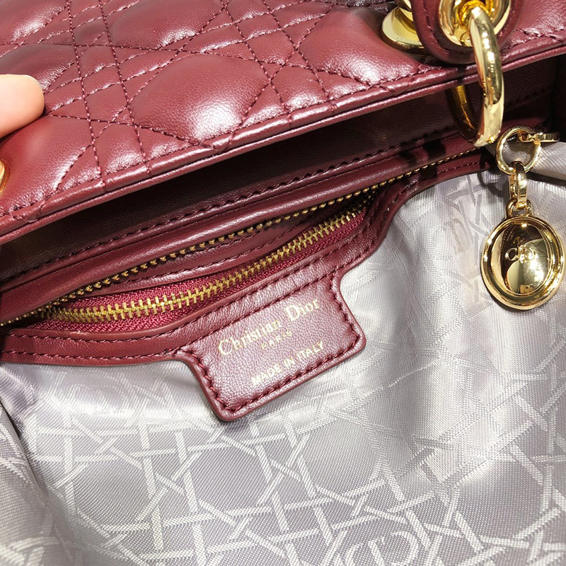 Dior The LADY D-LITE Bag