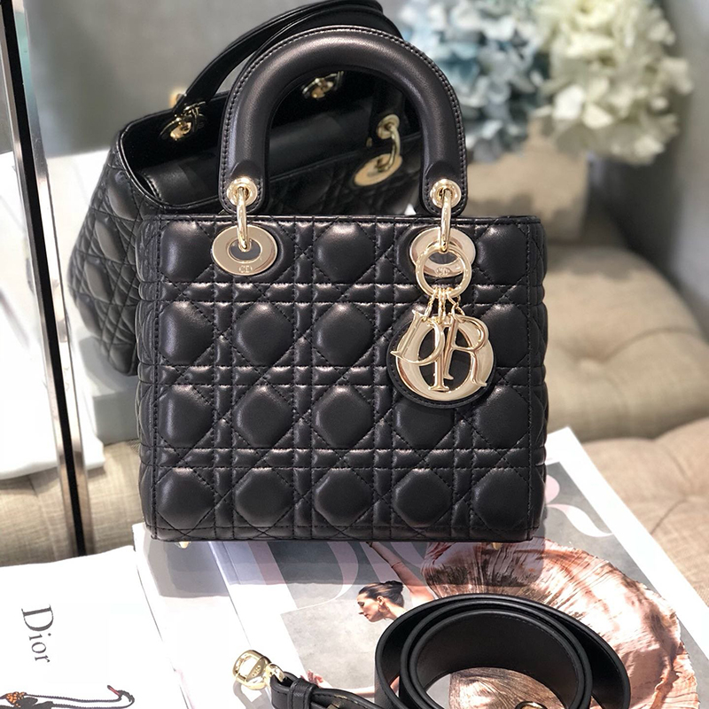 Dior The LADY D-LITE Bag