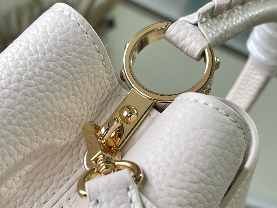 Louis Vuitton Z Capucines MM M21127