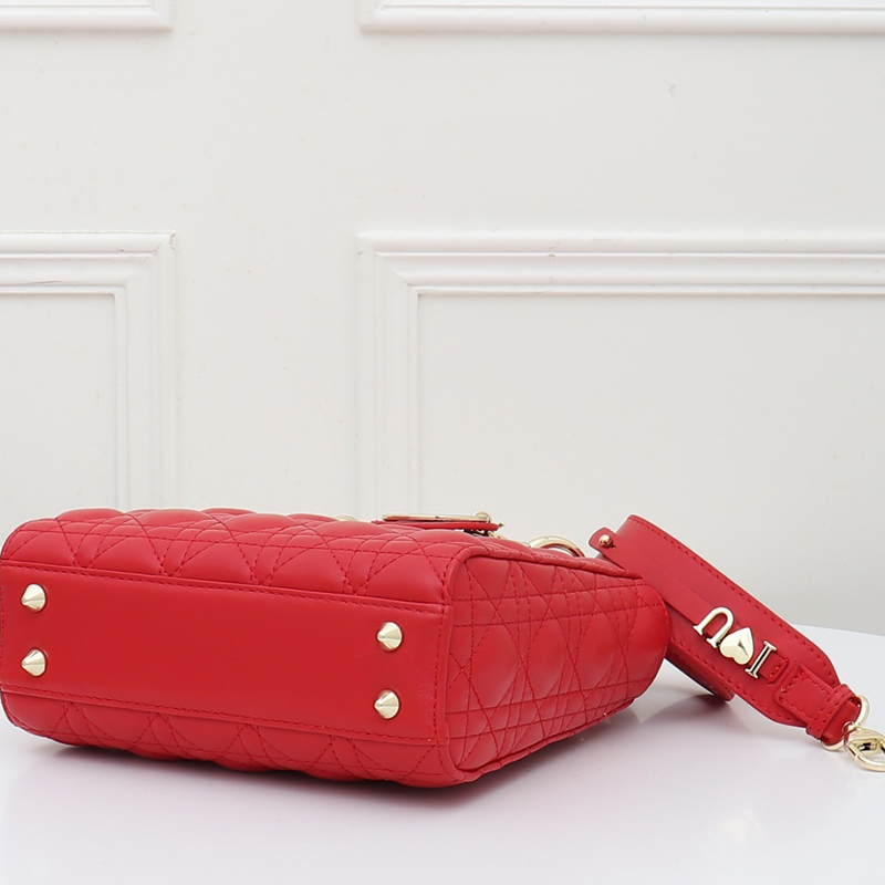 Dior The LADY D-LITE Bag