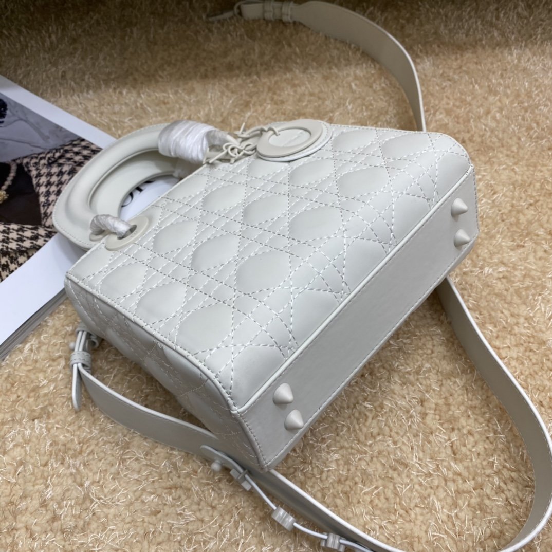 Dior The LADY D-LITE Bag