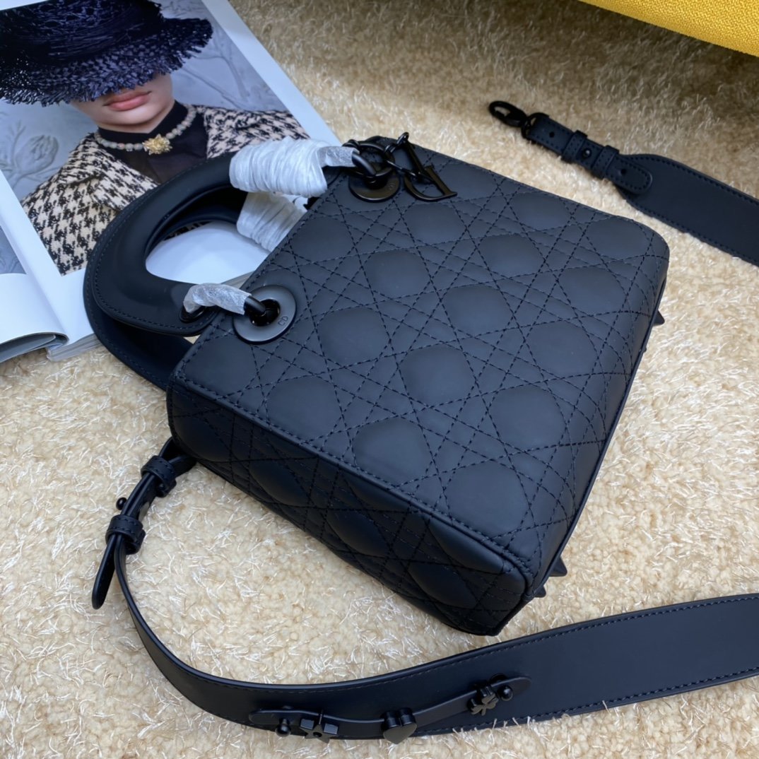 Dior The LADY D-LITE Bag