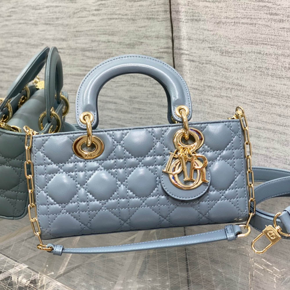 Dior Small Lady D-Joy