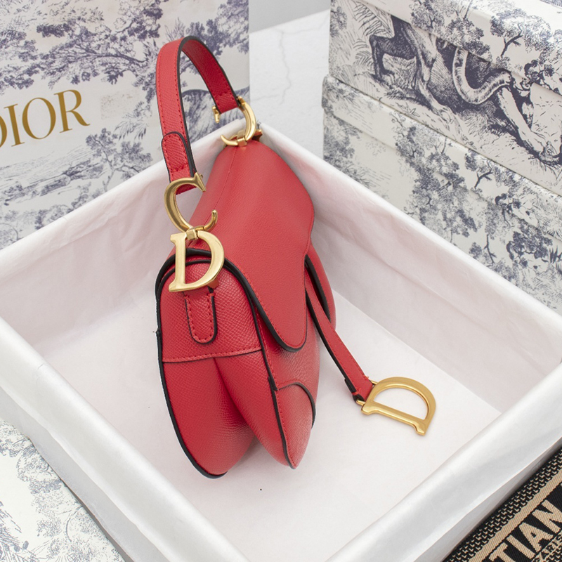 Dior Womens Bags Shoulder Bags MINI SADDLE BAG