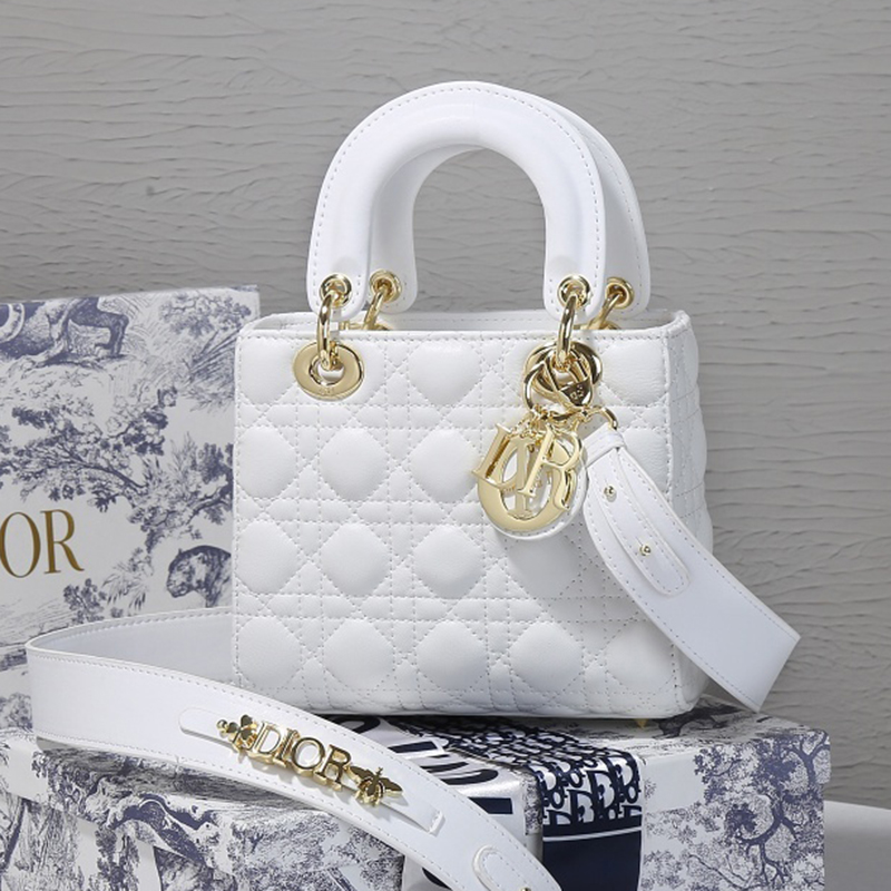 Dior The LADY D-LITE Bag