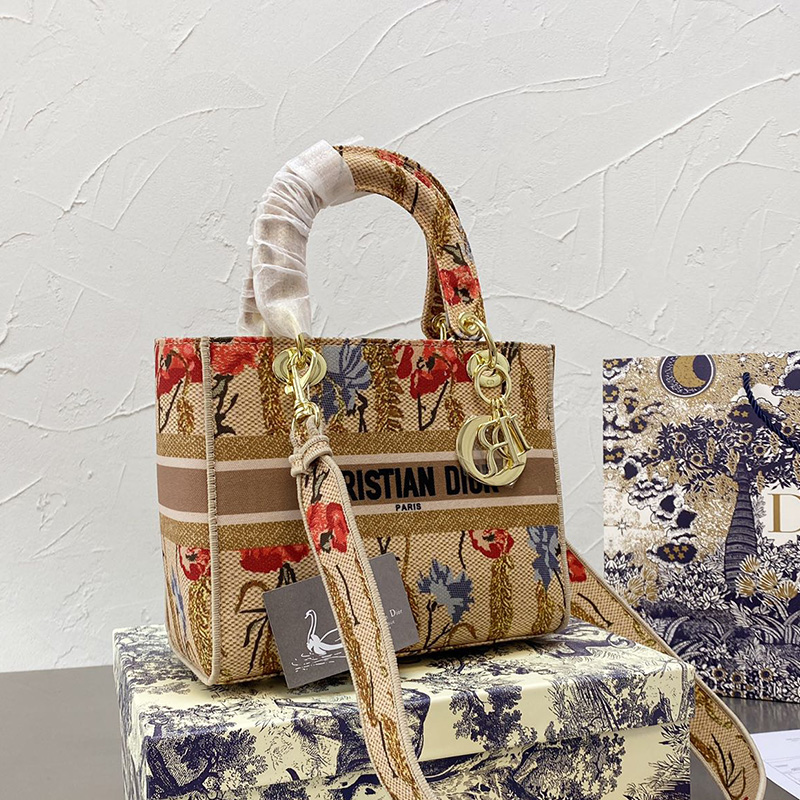 Dior The LADY D-LITE Bag