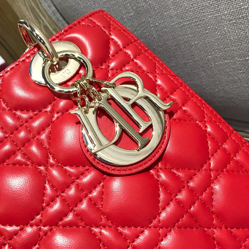 Dior The LADY D-LITE Bag