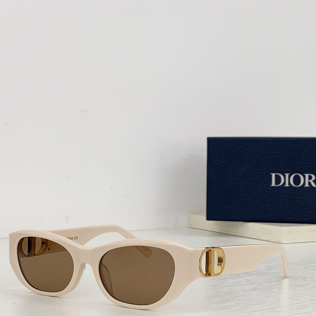 Dior Hollow Logo Sunglasses