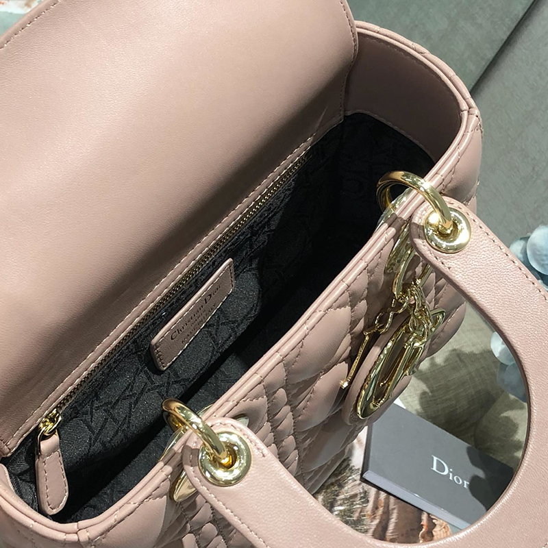 Dior The LADY D-LITE Bag