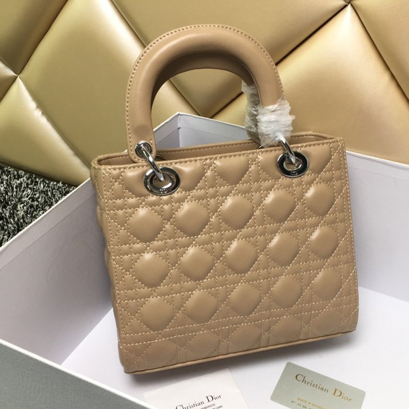 Dior The LADY D-LITE Bag