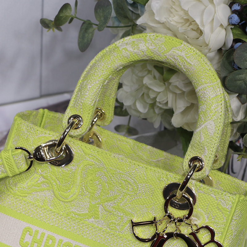 Dior The LADY D-LITE Bag Lime Toile de Jouy Reverse Embroidery M0565ORGO_M60E