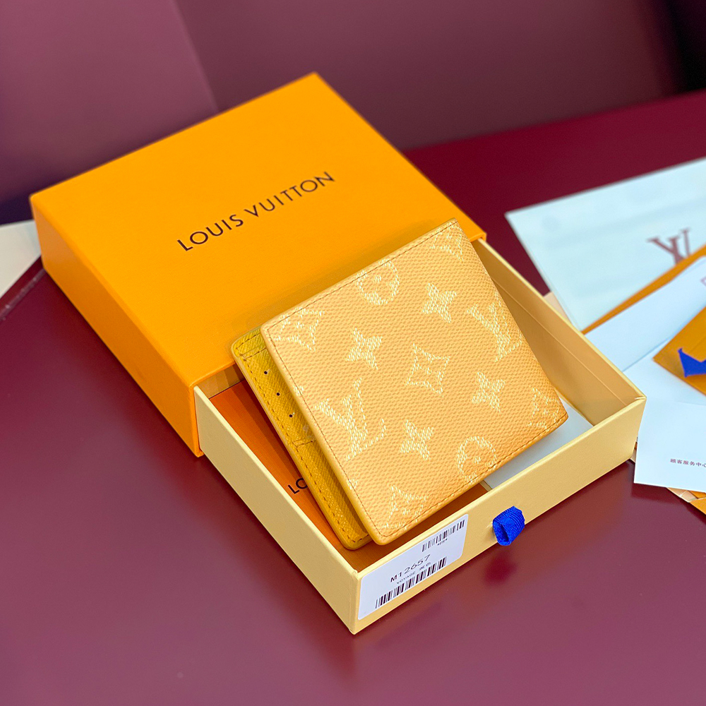 Louis Vuitton Multiple