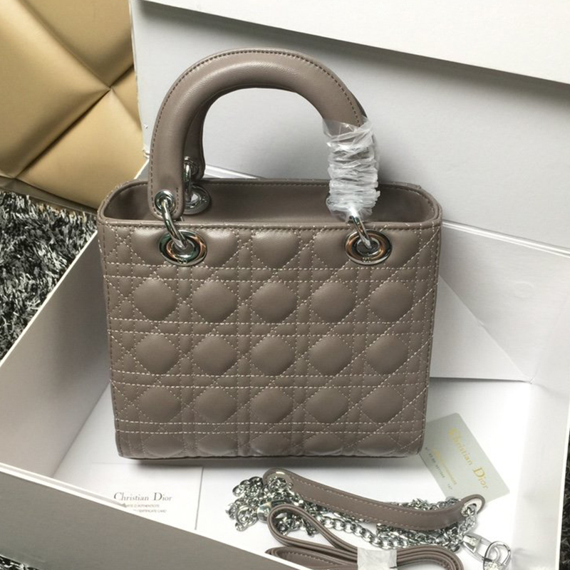 Dior The LADY D-LITE Bag