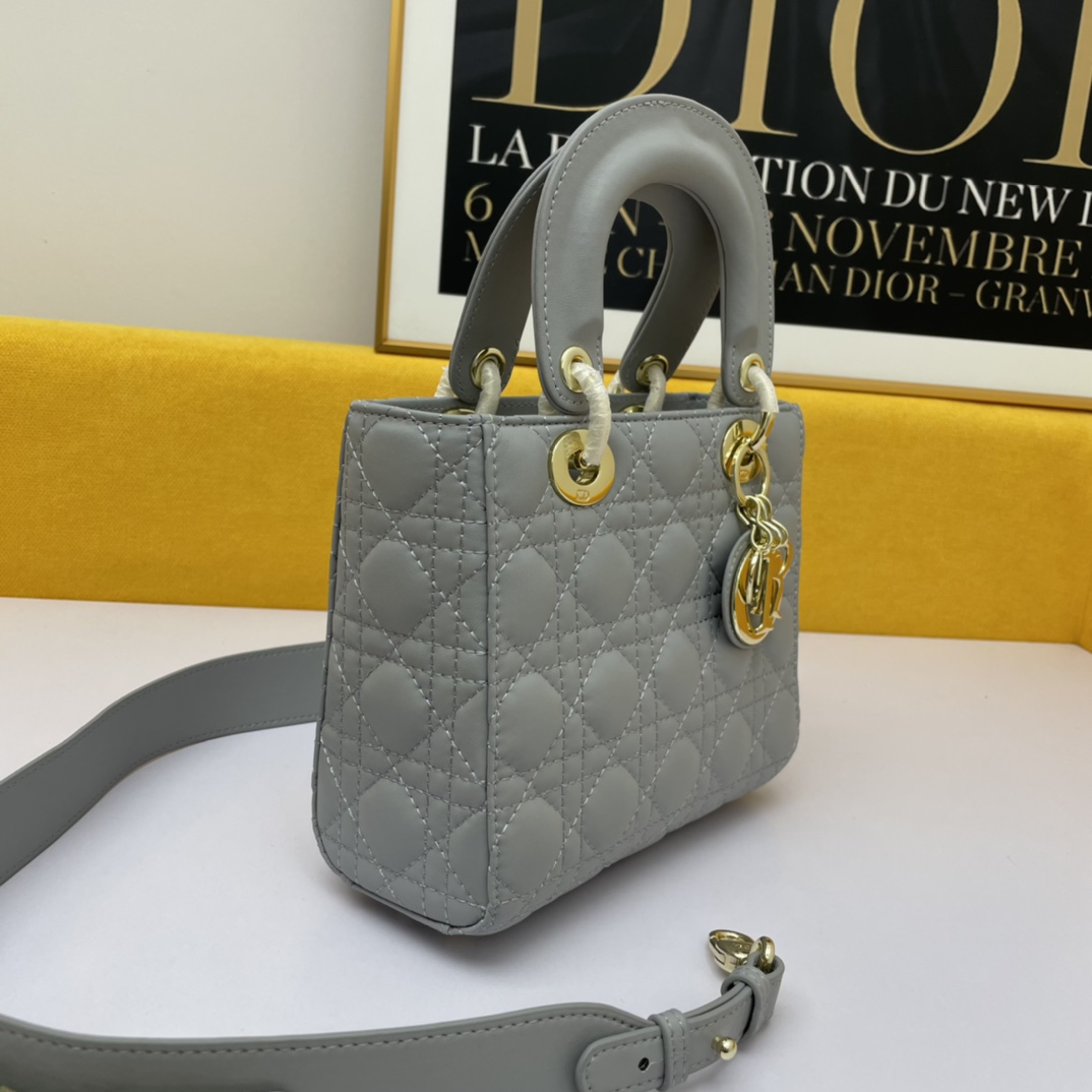 Dior The LADY D-LITE Bag