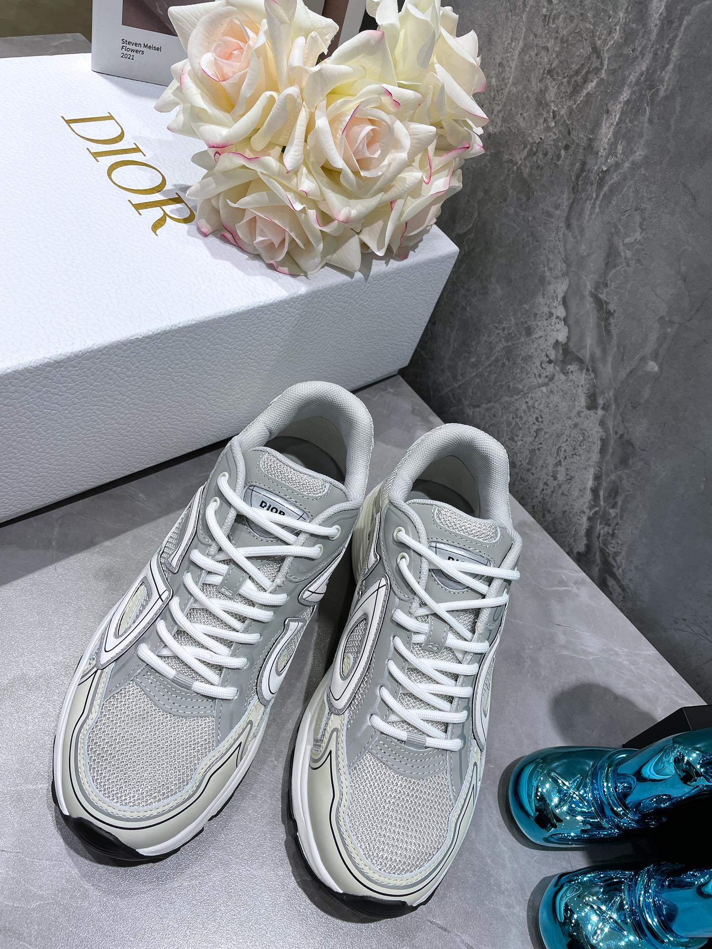 Dior B30 Dad Sneakers Gray