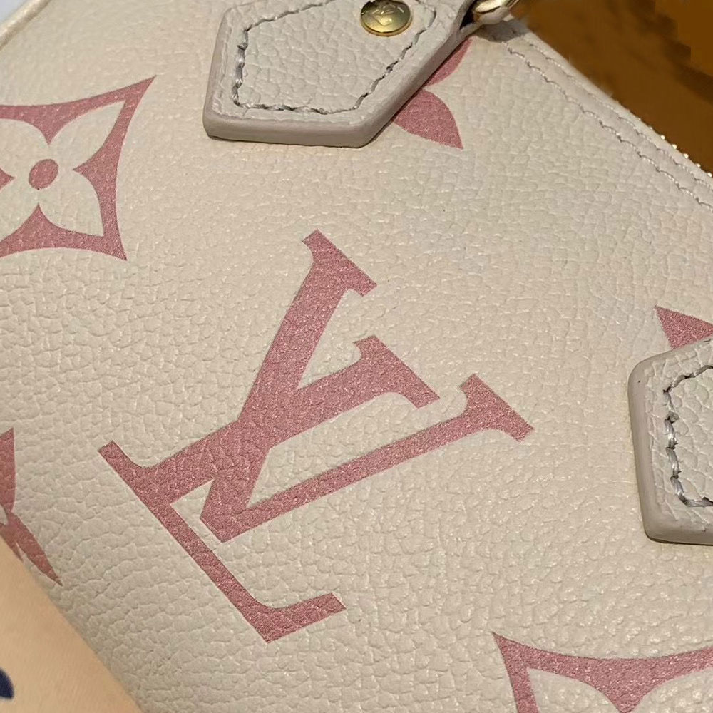 Louis Vuitton LV Nano Speedy Bag