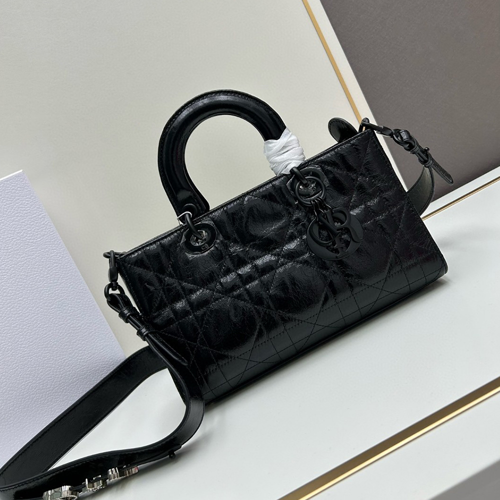 Dior Lady D-Sire bags
