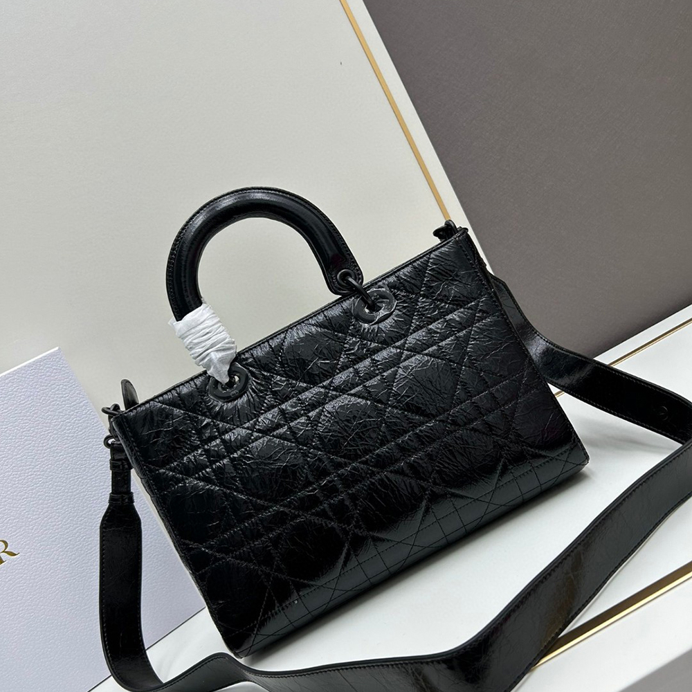 Dior Lady D-Sire bags