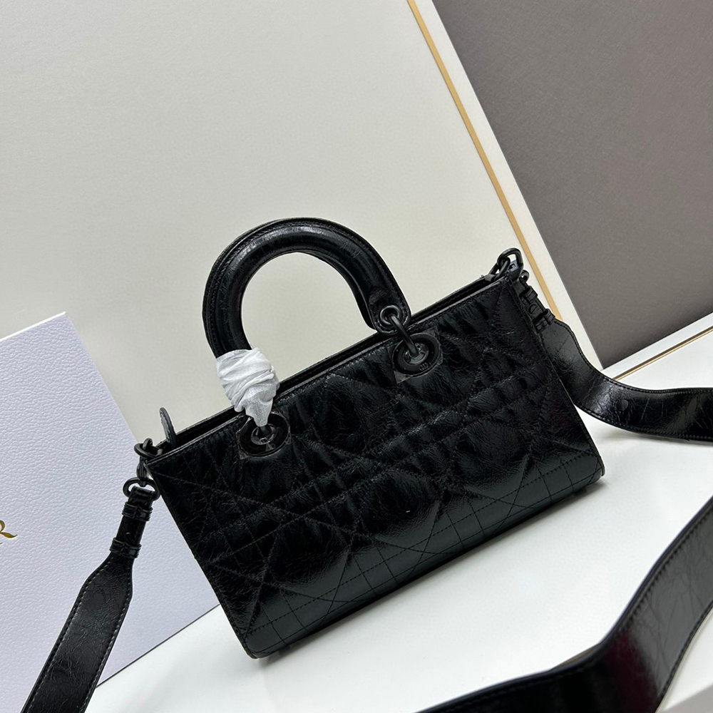 Dior Lady D-Sire bags
