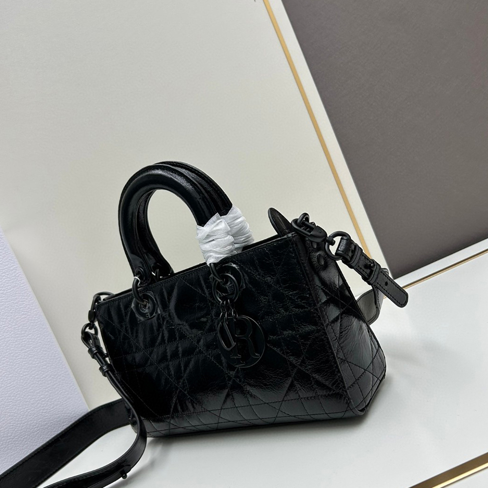 Dior Lady D-Sire bags