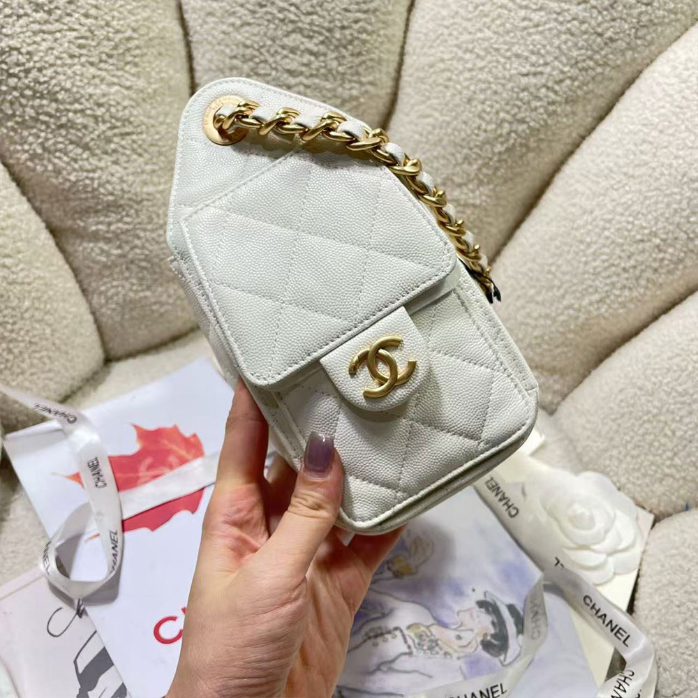 CHANEL 25 Small Handbag
