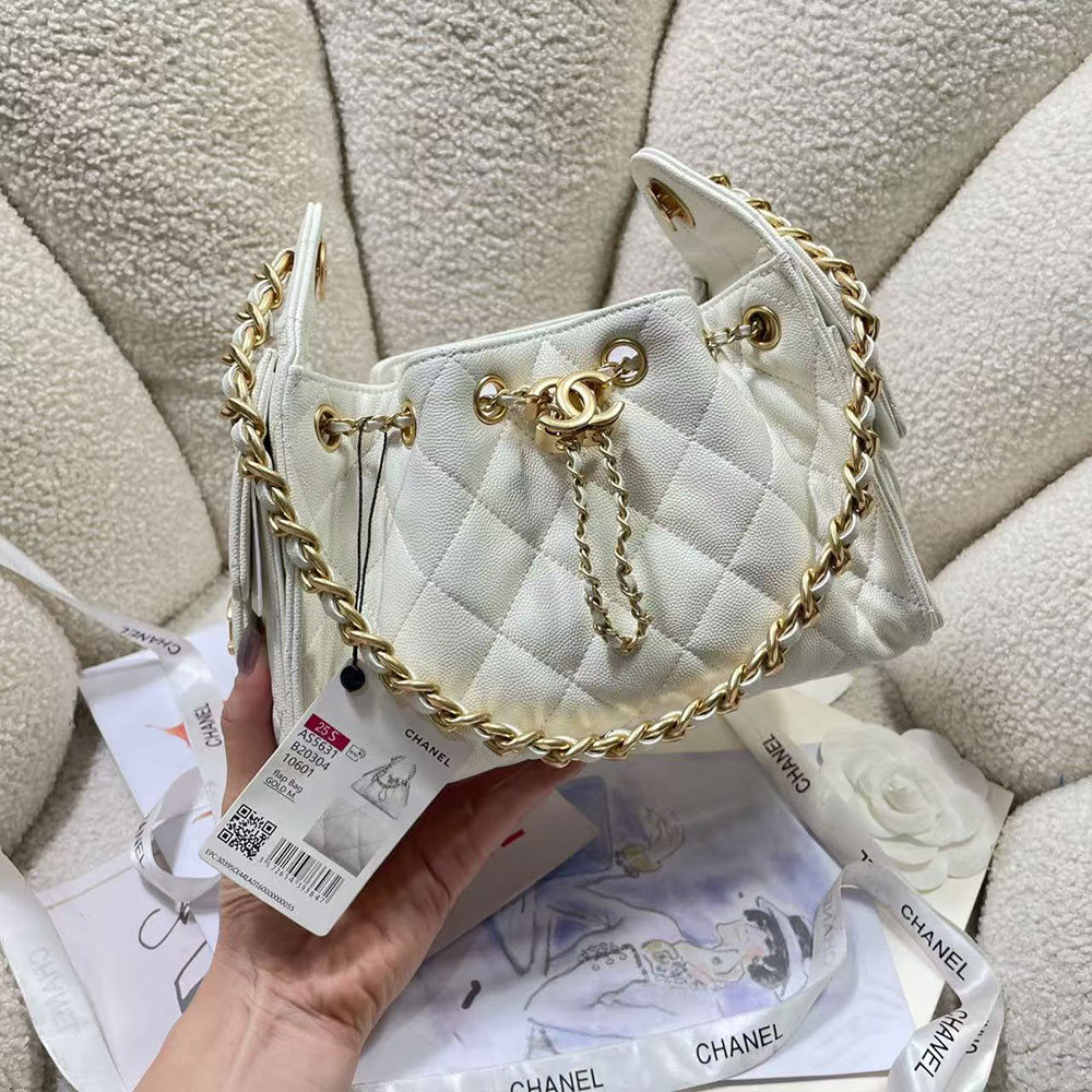 CHANEL 25 Small Handbag