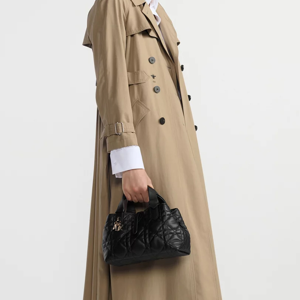 Dior Small Toujours Bag